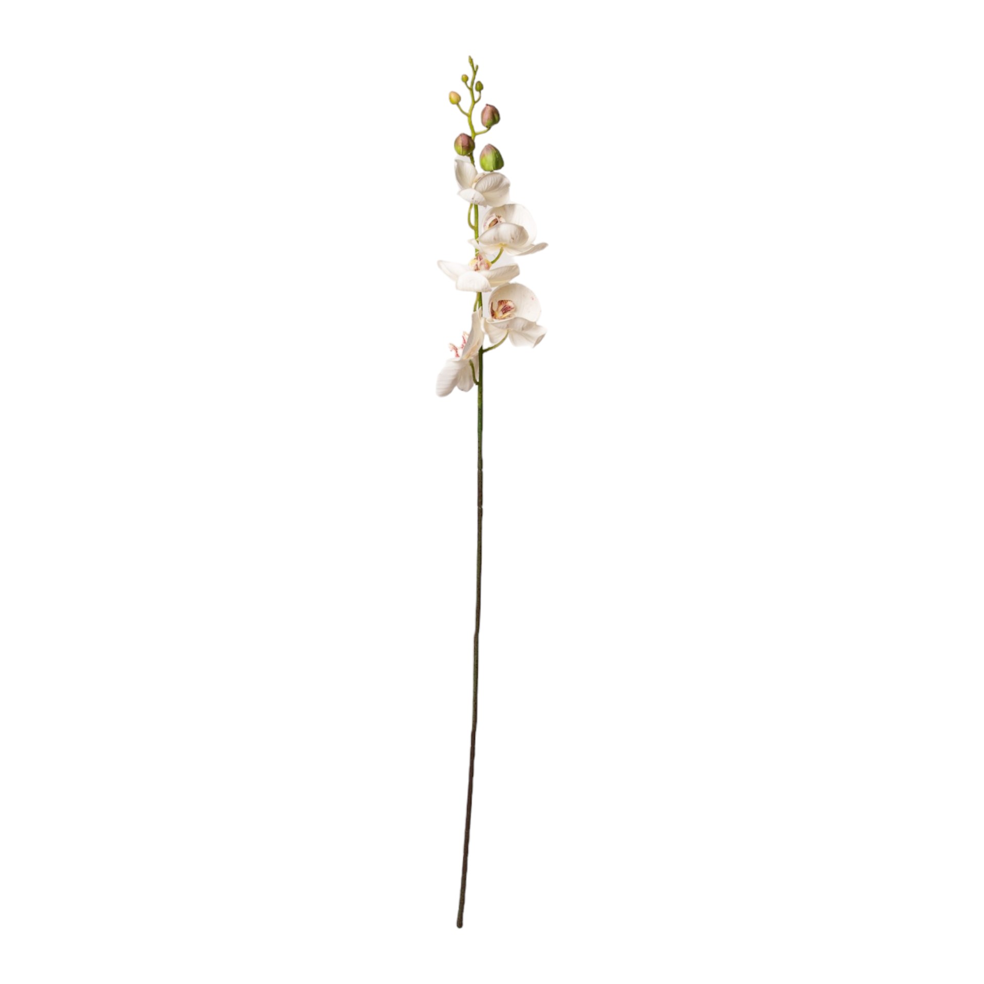 Darstellung von HOT künstliche Orchidee weiss