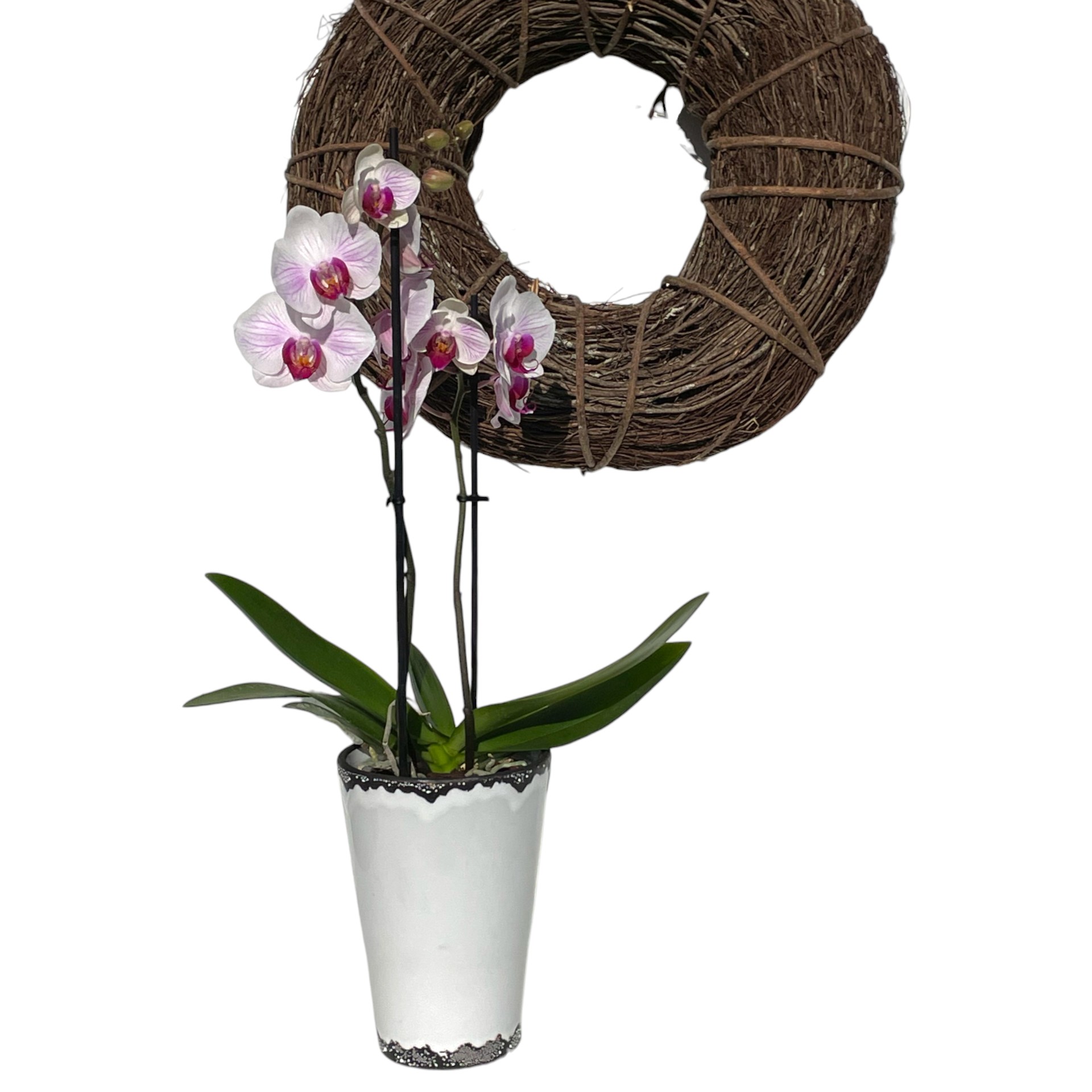 Darstellung von HOHER Orchideentopf WEISS h= 20 cm