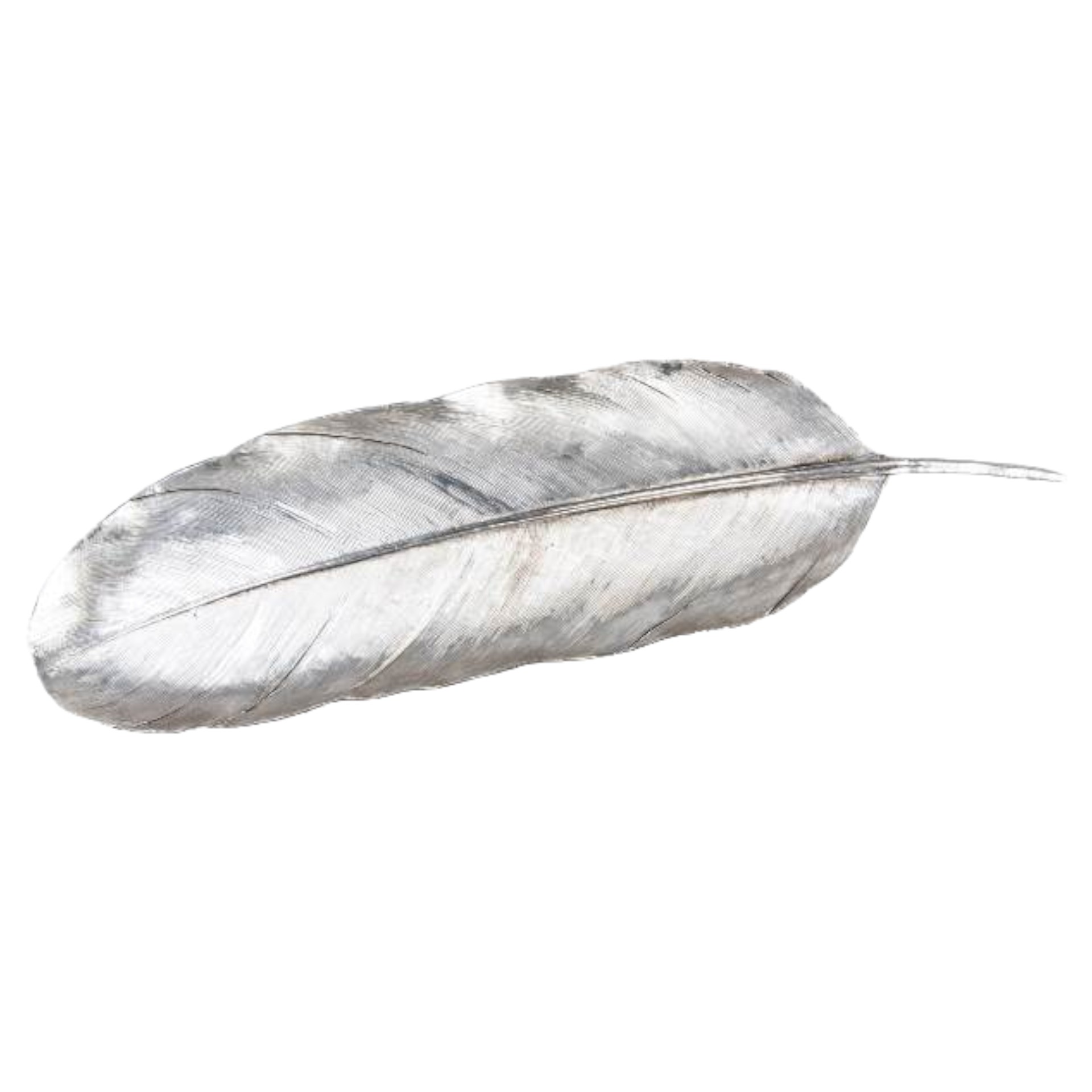 Darstellung von Schale Blatt silber poly 43,7 cm